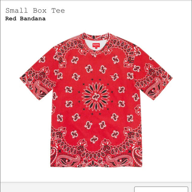 Supreme small box logo tee Bandana RED