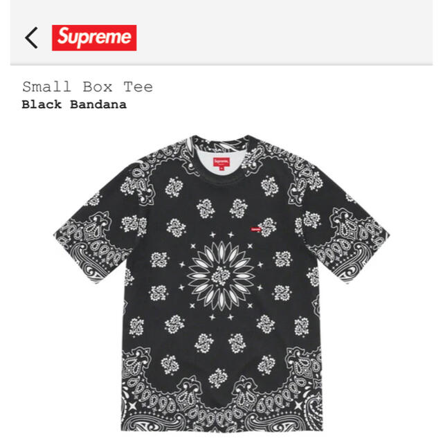 【希少】Sサイズ　supreme bandana small box tee