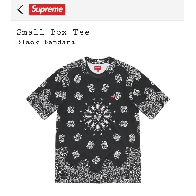 SupremeSmall Box TeeCOLOR/ BLACK　Bandana