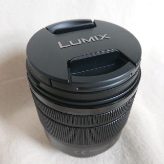 LUMIX G VARIO 12-60mm / F3.5-5.6(レンズ(ズーム))