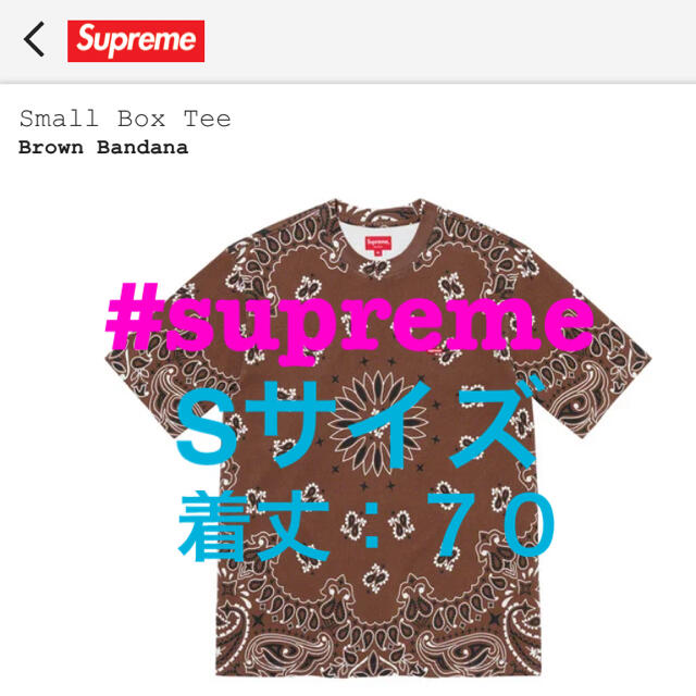 supreme small box tee bandana ペイズリー　新作