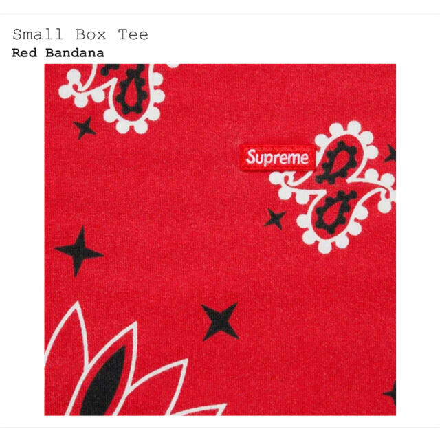 Supreme(シュプリーム)のsupreme small box tee bandana バンダナT Red メンズのトップス(Tシャツ/カットソー(半袖/袖なし))の商品写真