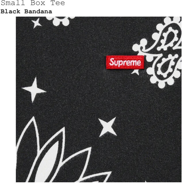 Supreme bandana small box tee