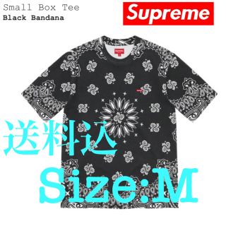 シュプリーム(Supreme)のSupreme bandana small box tee(Tシャツ/カットソー(半袖/袖なし))