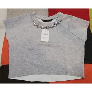 ザラ(ZARA)のZARA BASIC Lサイズ 半袖 グレー 新品未使用(Tシャツ/カットソー(半袖/袖なし))