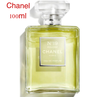 シャネル(CHANEL)の100ml シャネル 香水 Chanel No.19 EDP (香水(女性用))