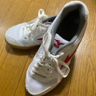 ミズノ(MIZUNO)のミズノ　体育館シューズ　未使用24.0(スニーカー)