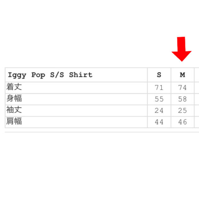 Supreme(シュプリーム)の【Supreme 】Iggy Pop S/S Shirt ！Mサイズ！ メンズのトップス(シャツ)の商品写真