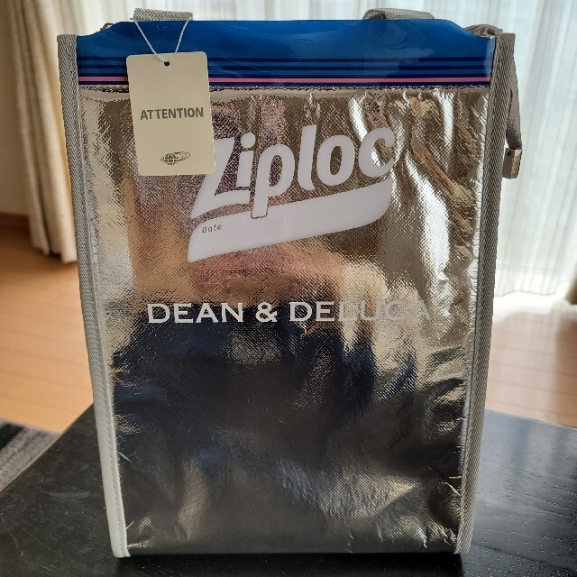 【即日発送】Ziploc × DEAN&DELUCA クーラーバック M