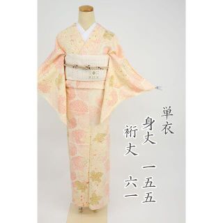 kate様専用　単衣着物　小紋 菊の花葉模様　クリーム色　4KY20(着物)