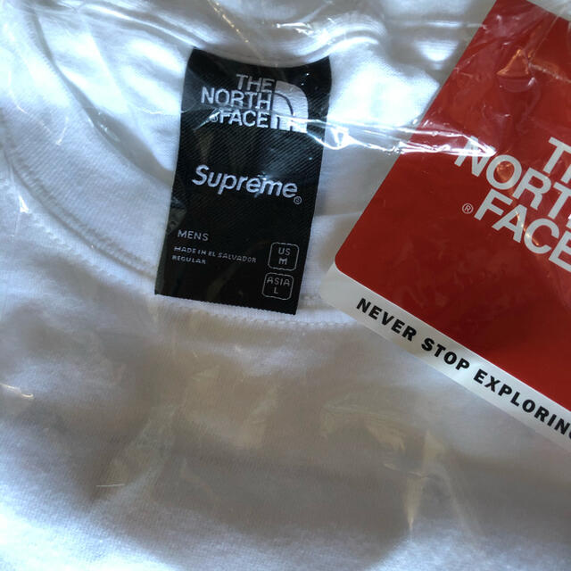 Supreme The North Face Statue of Liberty 1