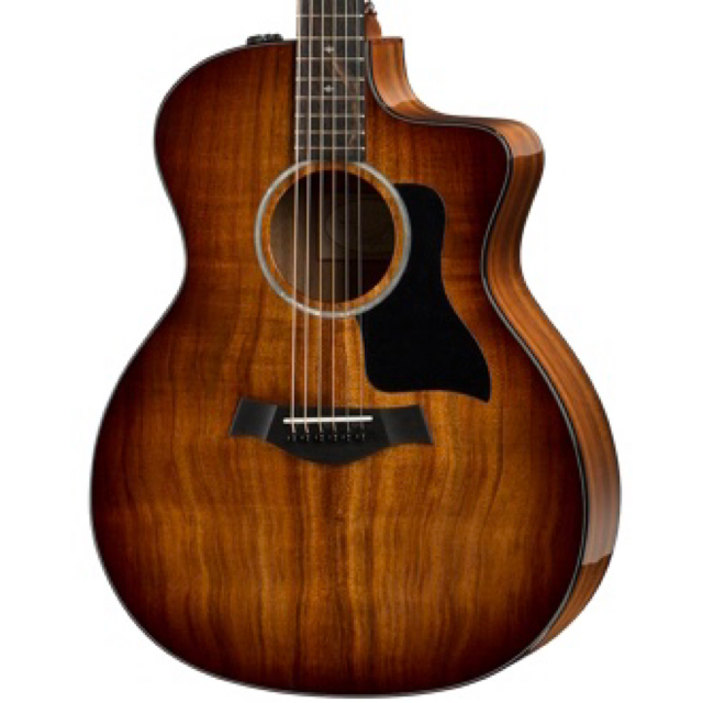 Taylor 224ce-koa DLX ES2ピックアップ搭載　極美品