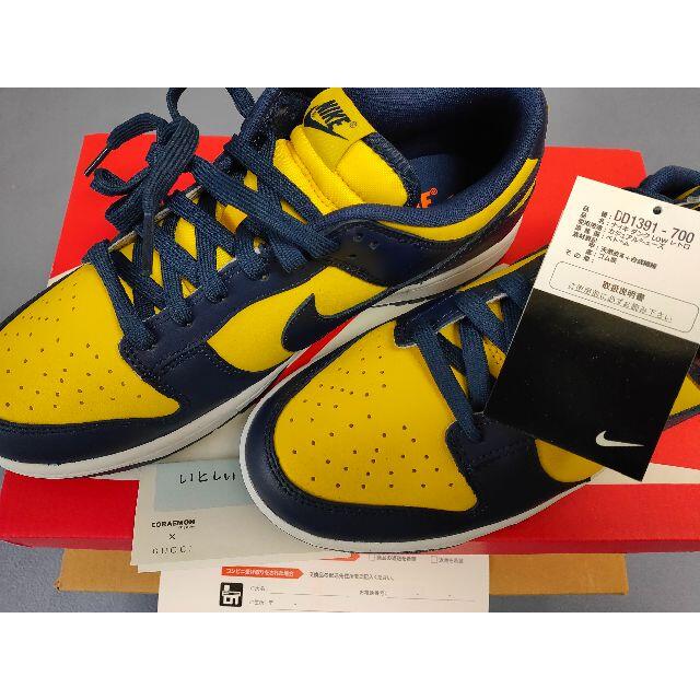 Nike Dunk Low Michigan (2021)