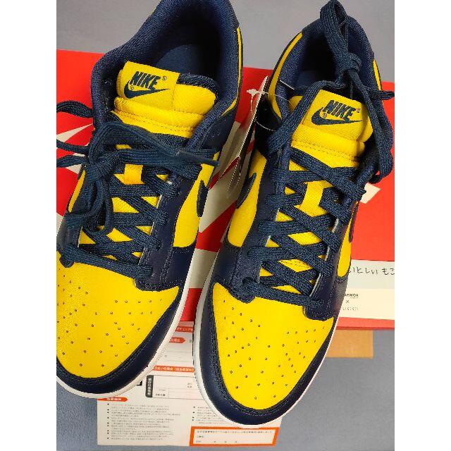 Nike Dunk Low Michigan (2021)