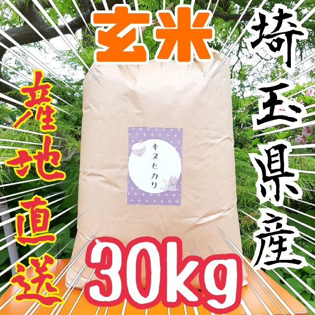 玄米限定特価 令和2年度 埼玉県産 キヌヒカリ 30kg 大粒米米/穀物