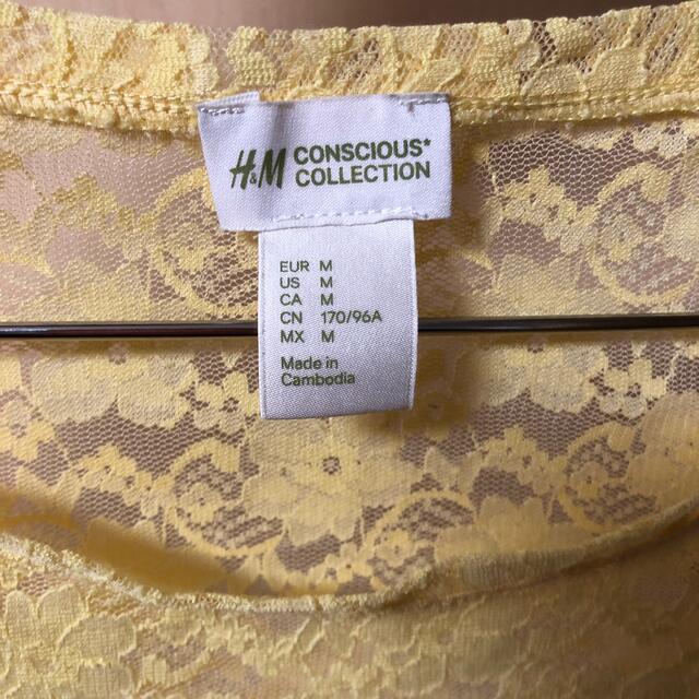 H&M(エイチアンドエム)のレース調　トップス レディースのトップス(Tシャツ(半袖/袖なし))の商品写真