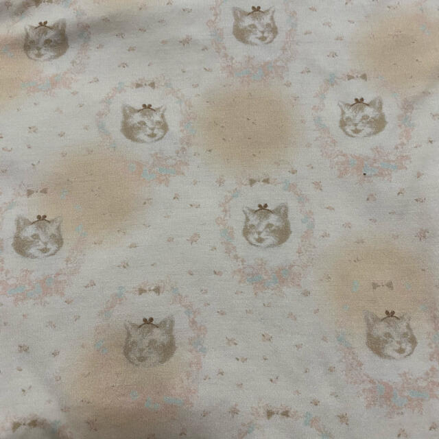 franche lippee(フランシュリッペ)のフランシュリッペ　猫柄シャツ レディースのトップス(Tシャツ(半袖/袖なし))の商品写真