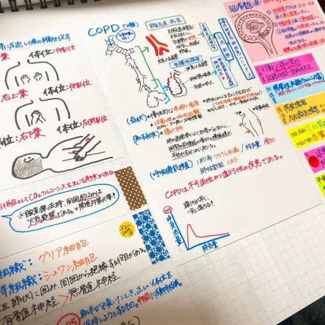 看護学生応援！苦手分野克服セット 解剖、微生物、国試、レポートデータ入りUSB エンタメ/ホビーの本(語学/参考書)の商品写真