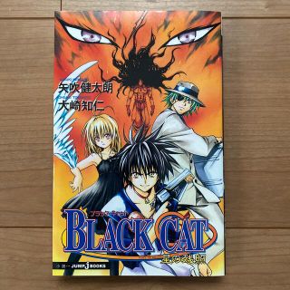 シュウエイシャ(集英社)のBLACK CAT 星の残照(文学/小説)