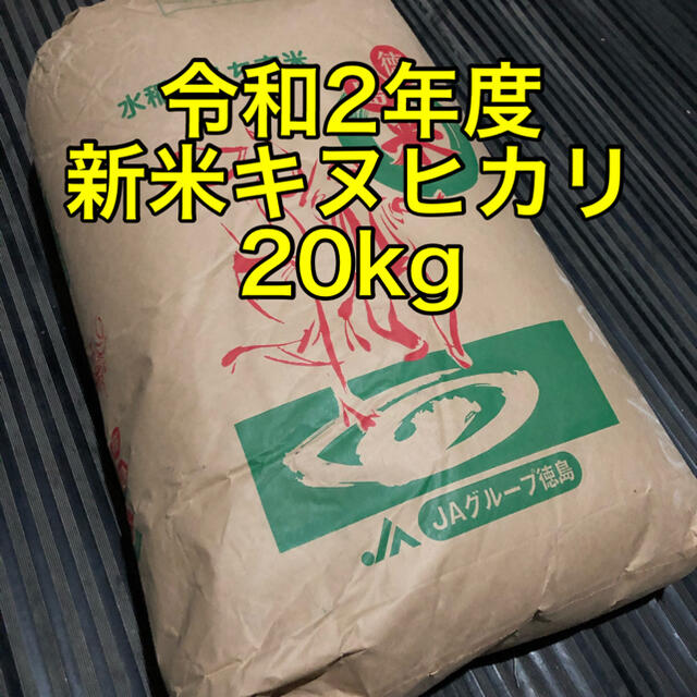 食品/飲料/酒令和2年度 徳島県産 新米キヌヒカリ 20kg 精米