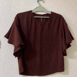 ジーユー(GU)のGU シャツ　Sサイズ(シャツ/ブラウス(半袖/袖なし))