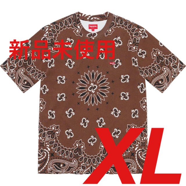 メンズSmall Box Tee Brown Bandana XLarge