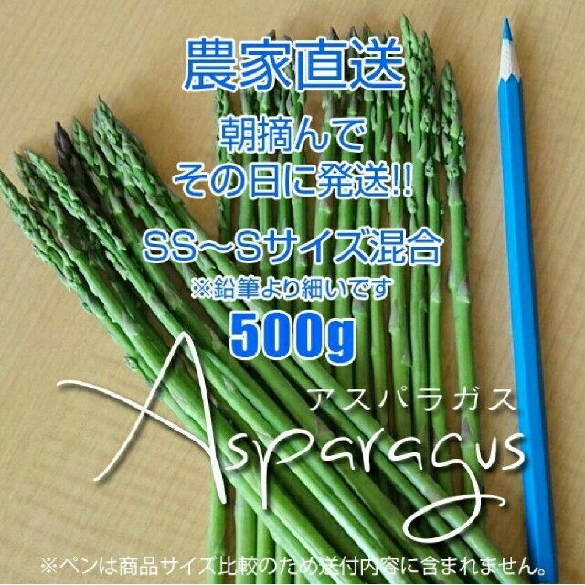 細アスパラ 500g 食品/飲料/酒の食品(野菜)の商品写真