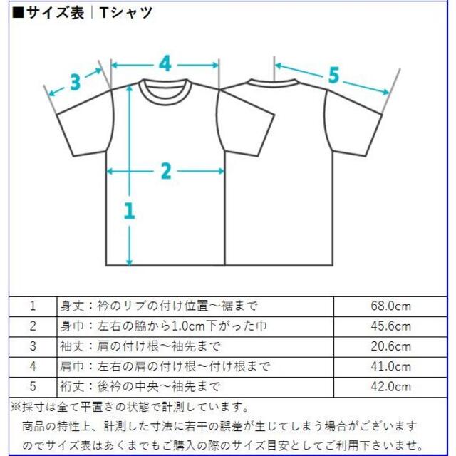 THE NORTH FACE(ザノースフェイス)のTHE NORTH FACE ノースフェイス Tシャツ メンズのトップス(Tシャツ/カットソー(半袖/袖なし))の商品写真