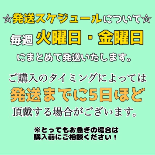 メロンにめろめろMIX☆国産無添加ドライフルーツ 32g 食品/飲料/酒の食品(フルーツ)の商品写真