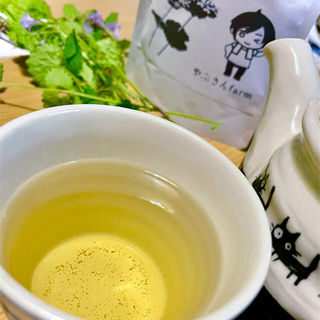自然栽培　カキドオシ茶　送料無料　１袋(茶)