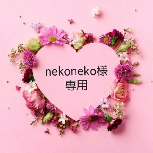 ✩.*˚nekoneko様専用ページ✩.*˚の+spbgp44.ru