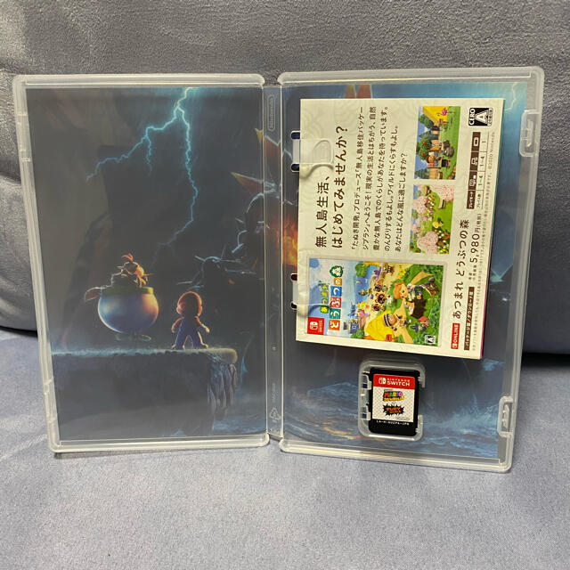 Nintendo Switch(ニンテンドースイッチ)のスーパーマリオ3D world+FURY world エンタメ/ホビーのゲームソフト/ゲーム機本体(家庭用ゲームソフト)の商品写真
