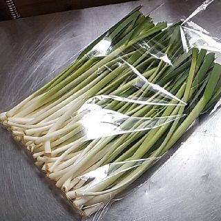 青森県産　無農薬にんにく新芽　葉にんにく(野菜)