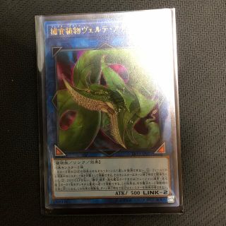 ユウギオウ(遊戯王)の遊戯王 捕食植物 ヴェルテアナコンダ ウルトラレア　本日開封！(その他)