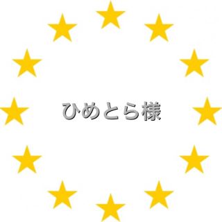 カワダ(Kawada)のひめとら様　専用　アイロンビーズ (各種パーツ)