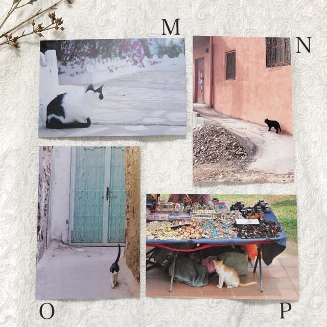 モロッコの猫と風景 ポストカード 5枚セット エンタメ/ホビーのコレクション(使用済み切手/官製はがき)の商品写真