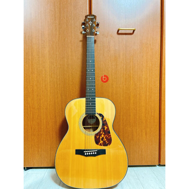 Guitar Morris F 35