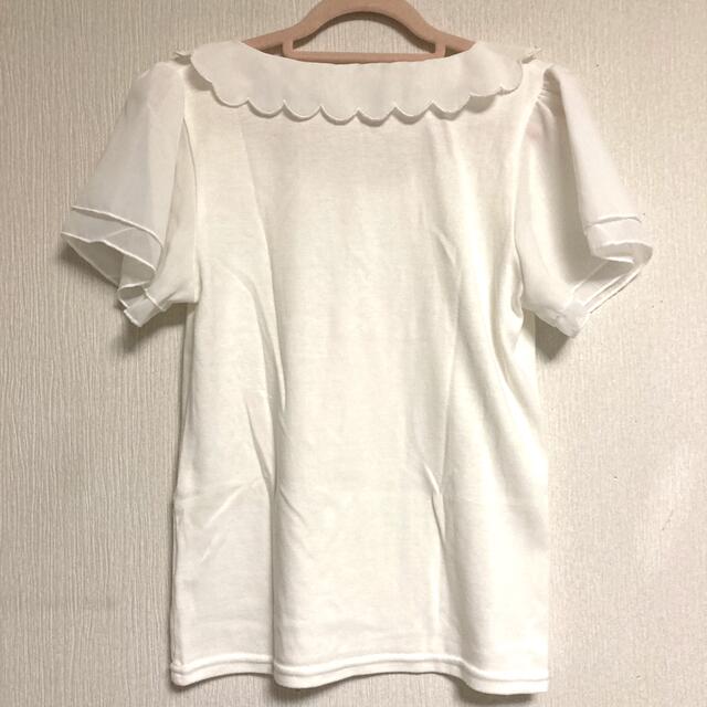 LODISPOTTO(ロディスポット)のロディスポット シフォン袖襟付きTシャツ ホワイト レース Mサイズ ショート レディースのトップス(Tシャツ(半袖/袖なし))の商品写真