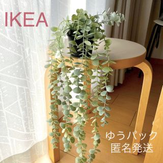 イケア(IKEA)の【新品】IKEA イケア フェイクグリーン（ユーカリ）フェイカ ☆(その他)