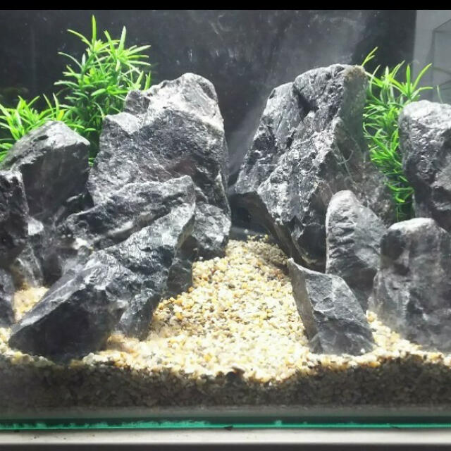 1 新品 親石付 清流石15キロセット 水槽 レイアウト アクアリウムの通販 By Mj S Shop ラクマ 1 新品 親石付 清流石15キロセット 水槽 レイアウト アクアリウムの通販 By Mj S Shop ラクマ