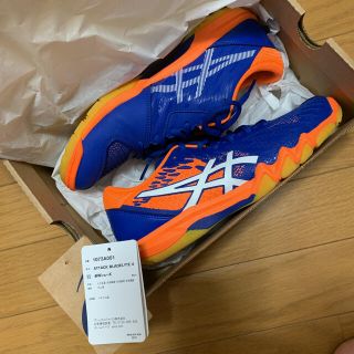 アシックス(asics)のアシックス　シューズ 24センチ　卓球(卓球)