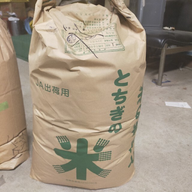 2020年産　20kg　玄米　キヌヒカリ　米/穀物