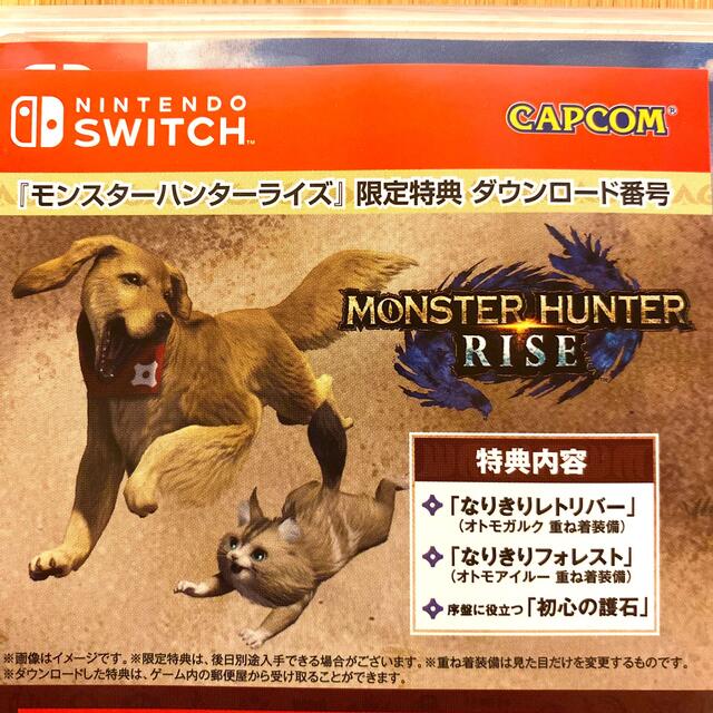 モンスターハンターライズ Switch 1