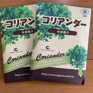 有機種子　コリアンダー2袋セット(野菜)