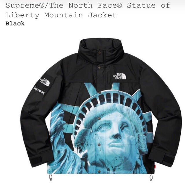 supreme the noth face mountain jacket