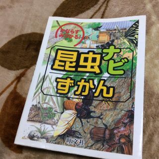 オウブンシャ(旺文社)の昆虫ナビずかん かならずみつかる！(絵本/児童書)