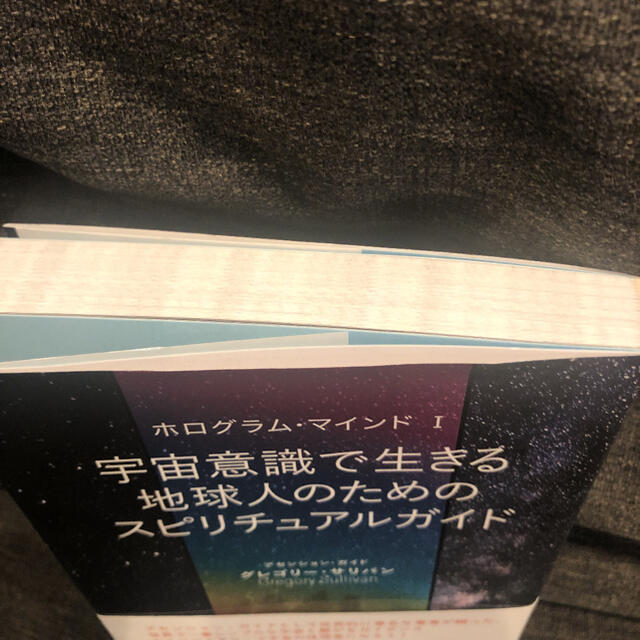 宇宙意識で生きる地球人のためのスピリチュアルガイド ホログラム・マインド エンタメ/ホビーの本(住まい/暮らし/子育て)の商品写真