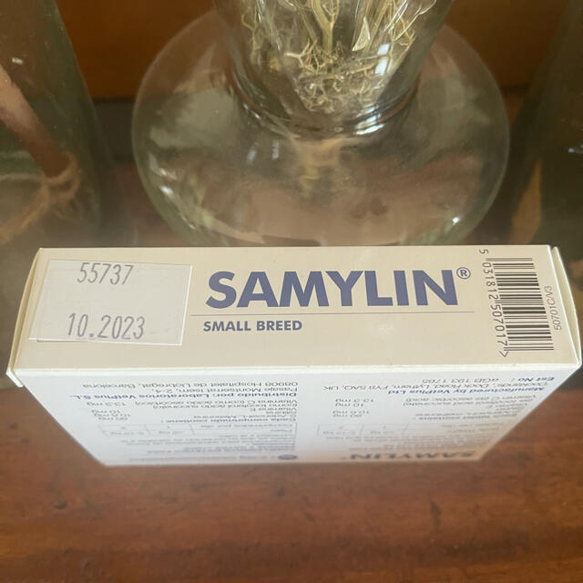 SAMYLIN  SMALL 1