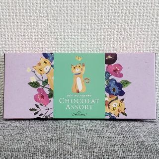 チョコレート　空き箱　猫　ネコ　ねこ　にゃんこ　グッズ(その他)