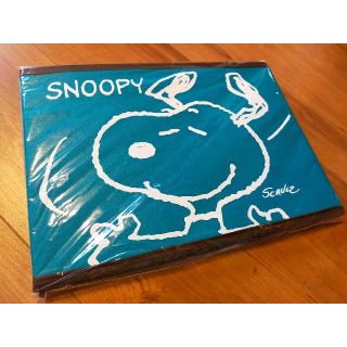 スヌーピー(SNOOPY)のスヌーピー 収納ボックス 折りたたみ エメラルドグリーン(キャラクターグッズ)